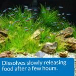 API Vacation Pyramid Fish Feeder 14-Day 1.2-Ounce Automatic Fish Feeder (3-Pack) - Image 6