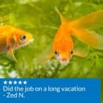 API Vacation Pyramid Fish Feeder 14-Day 1.2-Ounce Automatic Fish Feeder (3-Pack) - Image 9