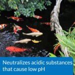 API Vacation Pyramid Fish Feeder 14-Day 1.2-Ounce Automatic Fish Feeder (3-Pack) - Image 10