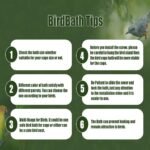 No Mess Bird Feeder for Cage, Parrot Feeder Cage Accessories, Parakeet Seed Food Feeder Drinker for Cage, Cockatiel Squirrel Finch Lovebirds Budgies Canary - Image 5