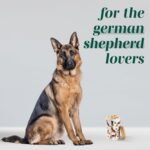 Greenline Goods Premium Dog Treat Ceramic Canister Set – German Shepherd Airtight Canister for Fresh Treats, Ceramic Jar & Containers with Lids, Farmhouse Canisters, Ideal Kitchen Canisters - Image 5