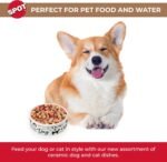 SPOT I Love Dogs Dish -Round Ceramic Food/Water Bowl with High Walls for Pets, Dishwasher Safe, Ideal for Small Dogs, Cats, Reptiles, Large Birds, 5in, 1.75 Cup (14oz) - Image 3