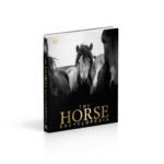 The Horse Encyclopedia (DK Pet Encyclopedias) - Image 9