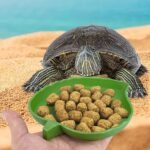 Leaf Shape Reptile Food Water Bowl 2 Pieces Reptile Plate Dish Drinking Bowl for Tortoise Corn Snake Crawl Pet Drinking and Eating, 2 Sizes - Image 4