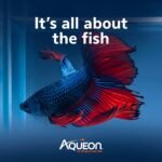 Aqueon PURE Betta Beads, Water Care for Unfiltered Aquariums, Maintains Clear Water and Helps Breakdown Organic Sludge, Pink - Image 8