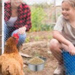 12 Pcs 10 oz Stainless Steel Bird Feeding Dish Cups Bird Feeder with Clamp Parrot Food Cups for Budgies Parakeet Cockatiel Small Animal for Cage Pet Water Cage Bowls - Image 8