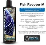 Brightwell Aquatics Fish Recover M - Botanical Remedy for Treatment of Sick Fish - Image 3