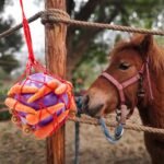 Tirifer Horse Treat Ball Carrot Feeder Toy Hanging Feeding Toy Goat Feeder Ball for Horse Goat Sheep Relieve Stress, Horse Stable Stall Paddock Rest - Image 3
