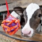 Tirifer Horse Treat Ball Carrot Feeder Toy Hanging Feeding Toy Goat Feeder Ball for Horse Goat Sheep Relieve Stress, Horse Stable Stall Paddock Rest - Image 4