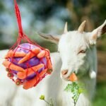 Tirifer Horse Treat Ball Carrot Feeder Toy Hanging Feeding Toy Goat Feeder Ball for Horse Goat Sheep Relieve Stress, Horse Stable Stall Paddock Rest - Image 7