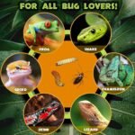 Reptile Food Dish Bowl - Anti-Escape Ceramic Worm Water Dish Feeder for Mealworm, Superworm, Dubia Roaches, Lizard, Leopard Gecko, Bearded Dragon, Chameleon, Skink, Tegu, Snake (Medium, Black) - Image 4