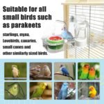 No Mess Automatic Bird Feeder Water Dispenser Set, Bird Feeder Cage Accessories, Parakeet Feeder Water Dispenser for Cage, Cockatiel Squirrel Finch Lovebirds Budgies Canary - Image 5