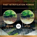 AZOOPLUS BIO XD Extreme Decomposer Nitrifying Bacteria for Freshwater and Saltwater Fish Tank 16.9 Ounces - Image 4