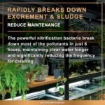 AZOOPLUS BIO XD Extreme Decomposer Nitrifying Bacteria for Freshwater and Saltwater Fish Tank 16.9 Ounces - Image 6