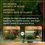 AZOOPLUS BIO XD Extreme Decomposer Nitrifying Bacteria for Freshwater and Saltwater Fish Tank 16.9 Ounces - Image 7