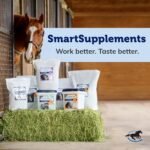 SmartPak SmartLytes Horse Electrolyte Powder Supplement | Encourages Hydration, Replenishes Electrolytes, No Added Sugar, Cherry Flavor, 56 Servings, 3.5 lb Bucket - Image 6