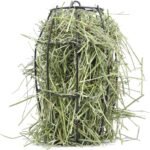 Horse Hay and Treat Feeder Ball Toy (Ceiling Mounted BOREDOME Relief Toy) UK - Image 8