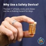 Bow Wow Labs New Bow Wow Buddy Starter Kit - Anti-Choking Bully Stick Safety Device for Dogs (L) - Image 4