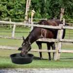 3Pcs Rubber Feed Pan, 12 Quart Horse Feed Bucket Large Feed Bucket, 17 x 5.3 Inches Dog Bowl Rubber Horse Feeder for Dogs Cat Pig Goat Chicken Farm Small Animal - Image 7