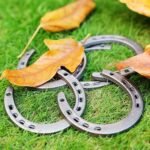 Desyeryamimi 12 PCS Horse Shoes for Decorations,Lucky Cast Iron Horseshoe Wall Decor,Crafts,Wedding,Birthday,Cowboy Party,Western Party Favors Supplies - Image 4