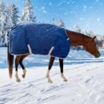 1800D Winter Waterproof Horse Trunout Blanket, 400g / 14oz Warm Cotton Filling Liner with Turnout Neck Cover Detachable, Medium Weight Waterproof Horse Blanket - Image 9