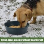 Sadnyy 5 Pcs Feed Pan, 3 Quart Ox Tendon Feeder Pan Utility Horse Feed Bucket Dog Bowl Horse Feeder for Cats Dogs Goats Horses Chicken Dust Bath Container Animal Feeding, 10.2 x 3.1 Inch - Image 6