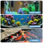 9-Way Aquarium Test Strips - 150 Aquarium Water Test Kit Fish Tank Test Kit Quick & Accurate Testing Iron Copper Nitrate Nitrite Chlorine Total Hardness Total Alkalinity Carbonate pH - Image 3