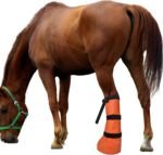 yeezo Hoof Soaking Bag Horse Soaking Boot Hooves Wrapped Easy Soaker Treating Bags with EVA Pad Pack of 2 - Image 3
