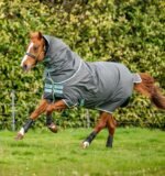 Horseware® Amigo® Hero Ripstop Plus Turnout Horse Blanket (200g Medium) - Image 3