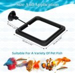 Fish Feeding Ring Aquarium Square Floating Fish Food Feeder Circle with Strong Suction Cup Fish Tank Feeding Ring for Betta Goldfish Guppy Fish - Image 3