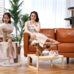 FUKUMARU Cat Bed, Plush Velvet Cat Beds for Indoor Cats, Wooden Cat Hammock, 21 x 16.5 Inch Cat Couch, Suitable for Cats, Dog, Bunny, Rabbit, Kitten and Small Animal - Image 9