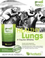 SynAir-EIPH (Bleeding) Management for Horses, Healthy Alternative, 100% Natural and Drug Free, Support Damaged Lungs, Promotes Optimum Airway Health, Made in USA - Image 3