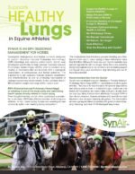 SynAir-EIPH (Bleeding) Management for Horses, Healthy Alternative, 100% Natural and Drug Free, Support Damaged Lungs, Promotes Optimum Airway Health, Made in USA - Image 5