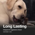 Hero Bonetics Noisy Joint Bone - Promotes Healthy Teeth, Gums and Mind - Wood Scented - for Small Dogs - Image 4