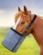 QWORK 2 Pack Horse Feed Bag for Grain - Durable Mesh Grain Feeder with Adjustable Strap, Comfortable Neck and Nose Pad Horse Muzzle Feed Bag, for Feeding Grain, Powder, Supplements, Blue - Image 6