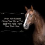 Electro-Probiotic Paste, Quick and Easy Source of Electrolytes and Probiotics for Stressed Horses (30 Grams) - Image 5