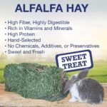 Grandpa's Best ALF10 10 lb Alfalfa Hay Bale (Packaging may vary ) - Image 6
