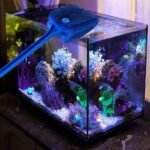 3 PCS Double-Sided Aquarium Fish Tank Algae Cleaning Brush with Non-Slip Handle, Sponge Scrubber Cleaner for Glass Aquariums and Home Kitchen - Image 4