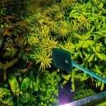 3 PCS Double-Sided Aquarium Fish Tank Algae Cleaning Brush with Non-Slip Handle, Sponge Scrubber Cleaner for Glass Aquariums and Home Kitchen - Image 6