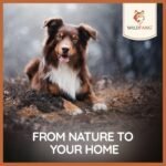 Wildfang® Leather Bones for Dogs | Dental Care, Snack & chew Toys | Leather Chewing Bones - Image 8