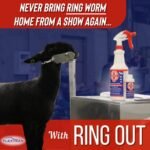 Ringworm Prevention Pack for Large and Small Animals - Control and Help Ringworm for Goats, Cattle, Horses, All Pets and Livestock. Ring Out, Ring Out Shampoo and Empty 32 oz Spray Bottle - Image 5