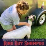 Ringworm Prevention Pack for Large and Small Animals - Control and Help Ringworm for Goats, Cattle, Horses, All Pets and Livestock. Ring Out, Ring Out Shampoo and Empty 32 oz Spray Bottle - Image 7