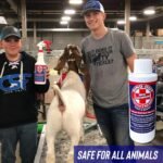Ringworm Prevention Pack for Large and Small Animals - Control and Help Ringworm for Goats, Cattle, Horses, All Pets and Livestock. Ring Out, Ring Out Shampoo and Empty 32 oz Spray Bottle - Image 9