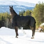 HORZE Nevada Heavy Weight 1200D Waterproof Horse Winter Turnout Blanket (400g Fill) - Black - 78 in - Image 4