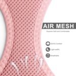 Fida Cat Harness and Leash Set for Walking Kitten and Puppy, Escape Proof Kitten Harness with Breathable Lightweight Soft Mesh, Adjustable Reflective Step-in Design. (XXXS, Pink) - Image 4