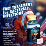 (Price/1)Freshwater Maracyn Tc Powder 24 Packets - Image 4