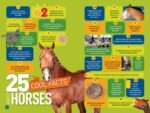 Gallop! (National Geographic Kids Readers, Level 3): 100 FUN Facts About Horses - Image 3
