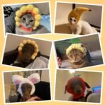 Weewooday 5 Pieces Cat Hat Cat Costume Outfit Bunny Hat with Ears Funny Cat Hat for Cats and Small Dogs Kitten Puppy Party Christmas Costume Accessory Headwear(Cute Style) - Image 5