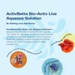 Water for Aquarium Décor, 33.8 fl.oz. - Premium Water Conditioner for Betta Fish Tanks, Enhances Water Quality and Aquatic Health (Pack of 2) - Image 3