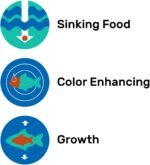 HIKARI Sinking Wafers for Pets, 1.76-Ounce - Image 5